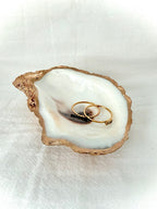 Oyster Shell Dish | 3 styles