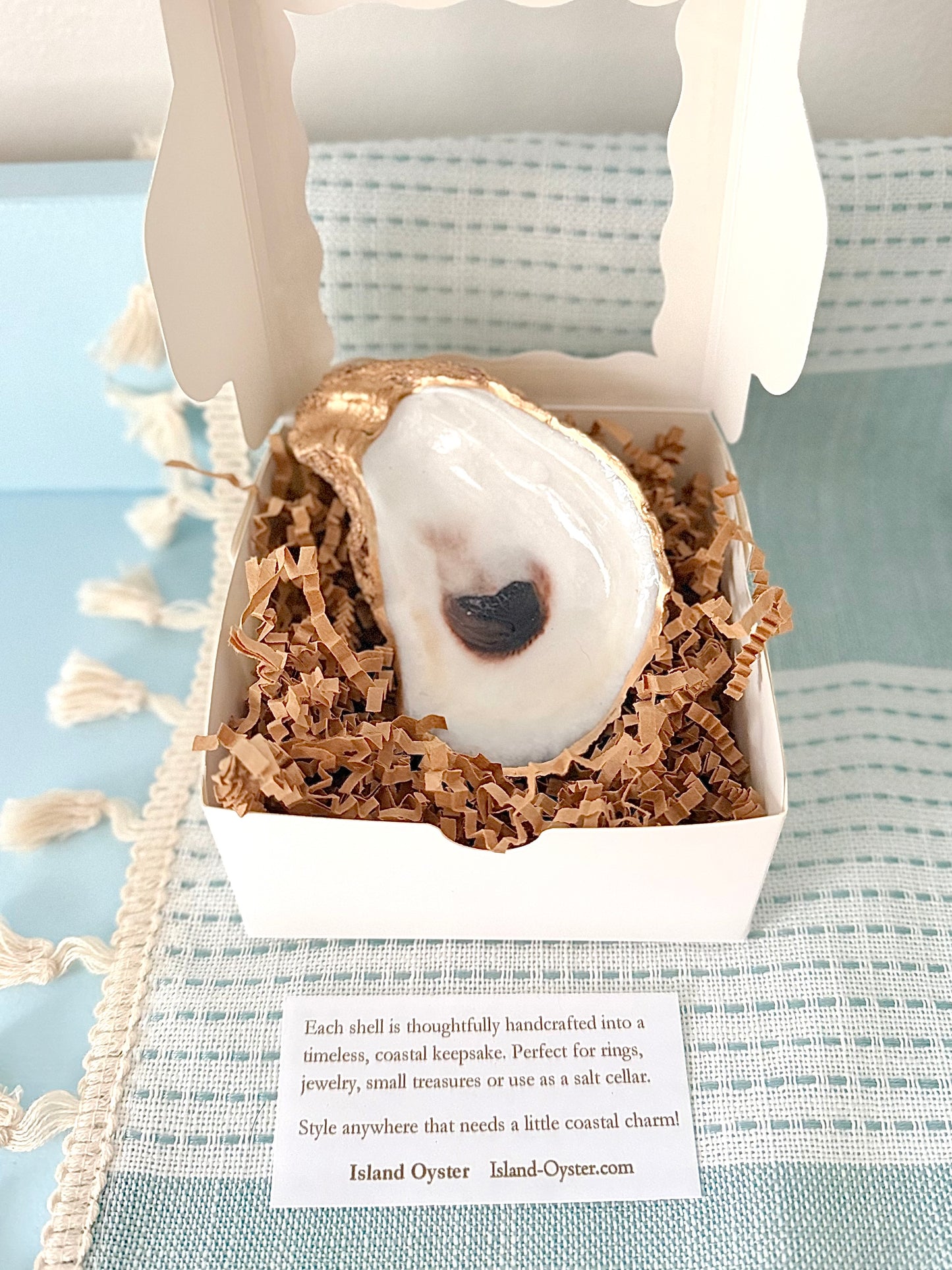 Oyster Shell Dish | 3 styles