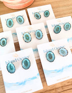 Limpet Shell Stud Earrings
