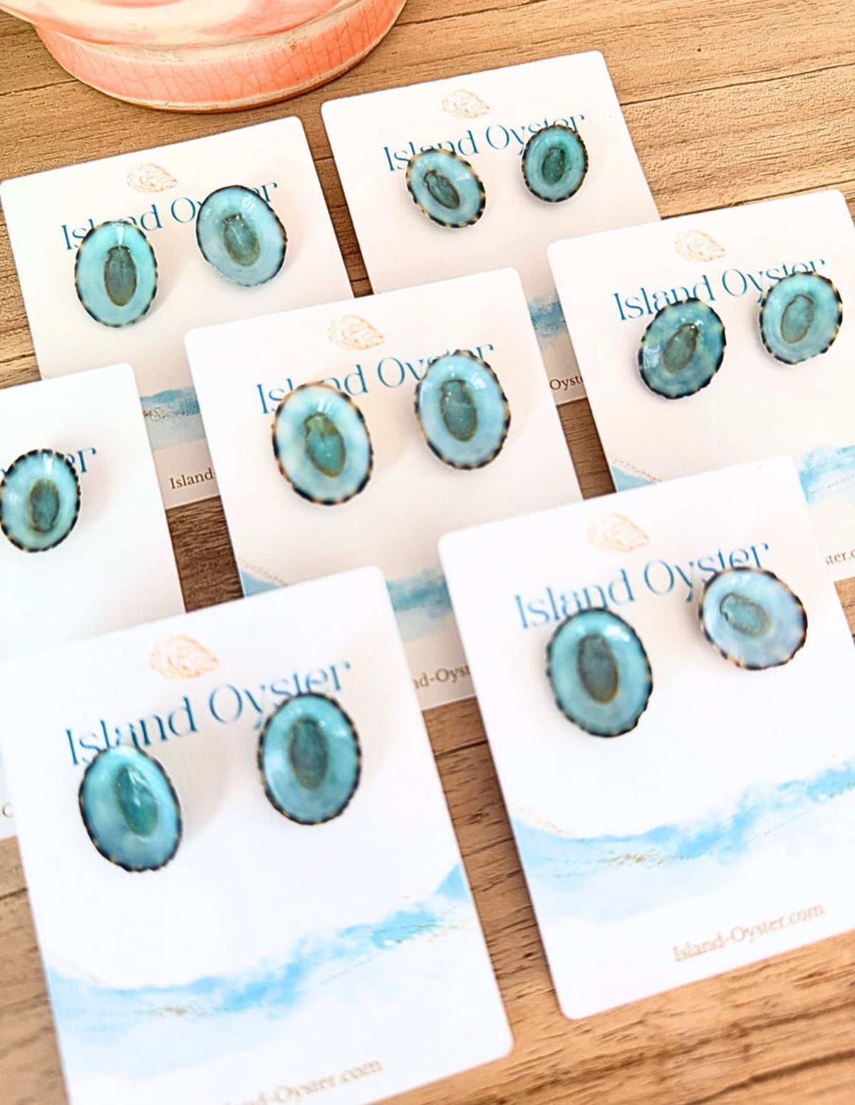 Limpet Shell Stud Earrings