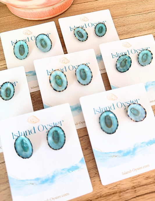 Limpet Shell Stud Earrings