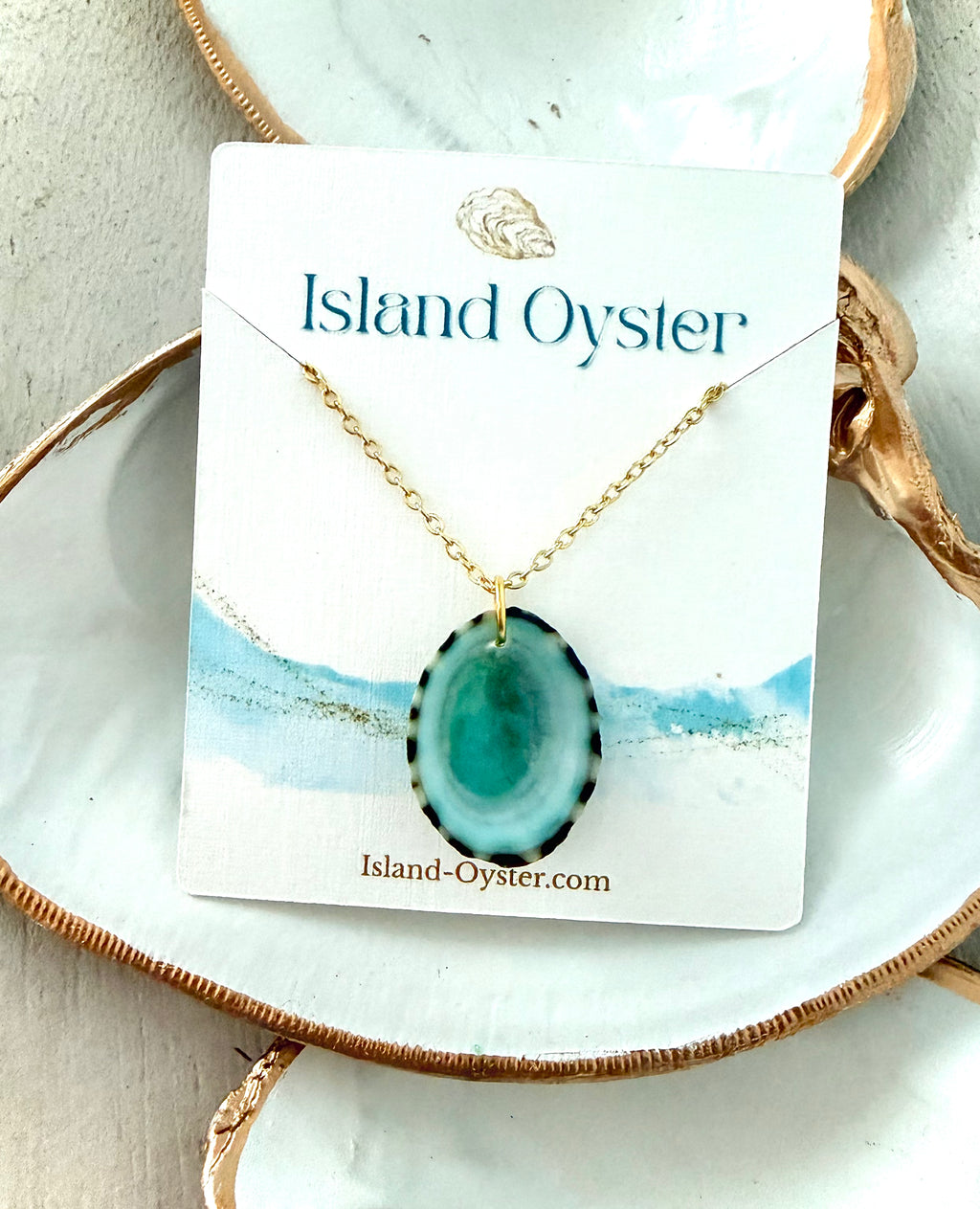 Limpet Shell Necklace