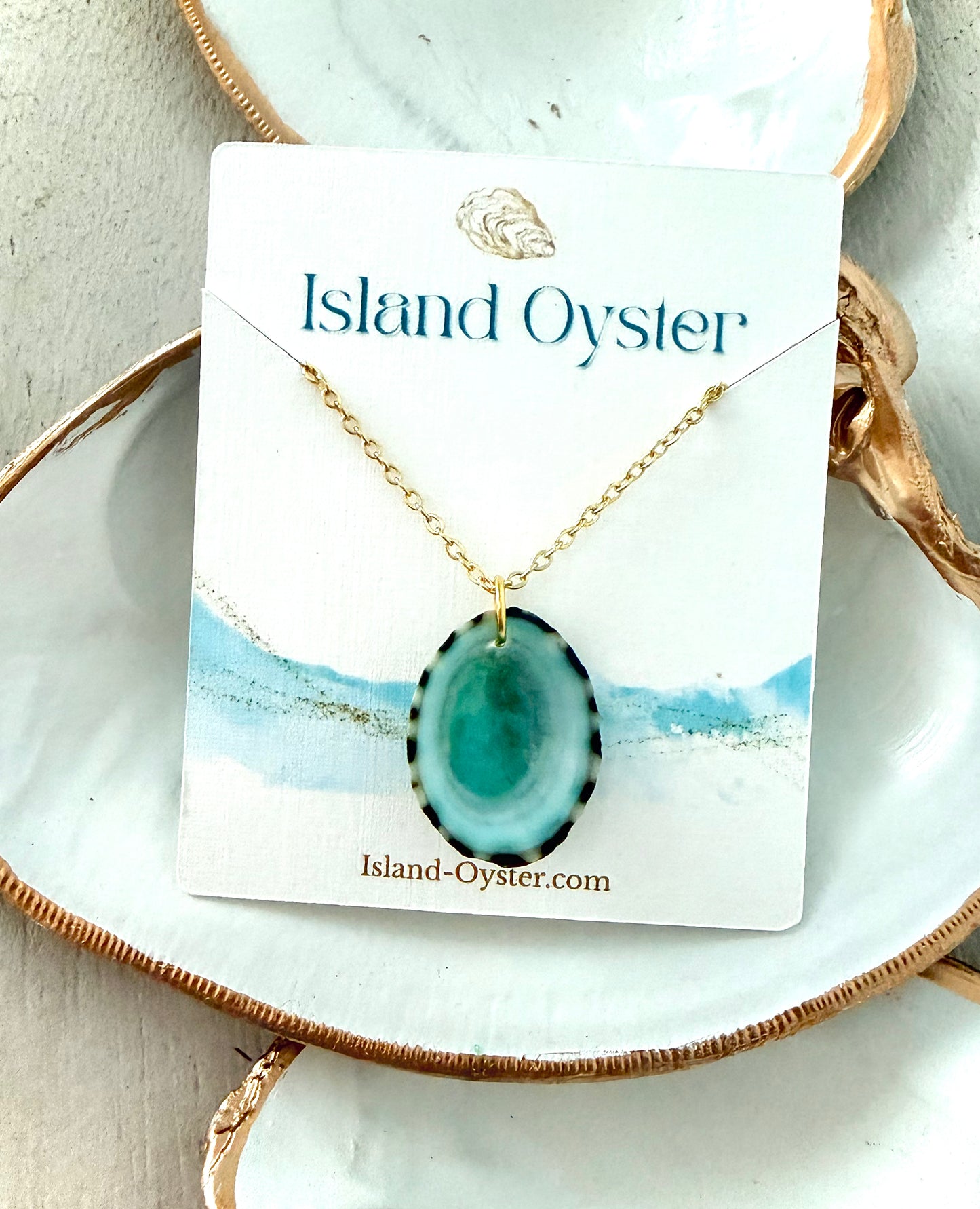 Limpet Shell Necklace