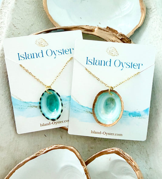 Limpet Shell Necklace