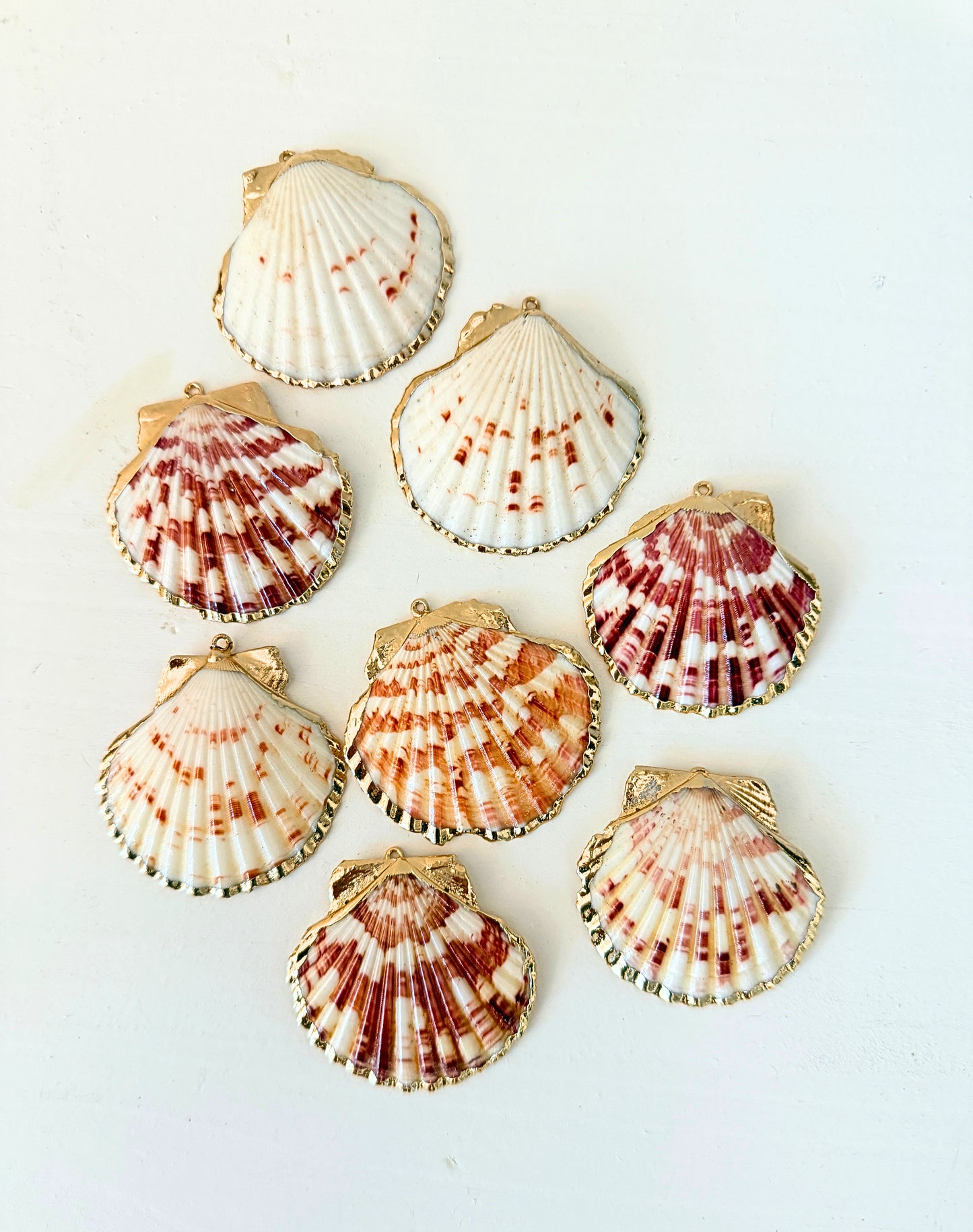 Scallop Shell Charms