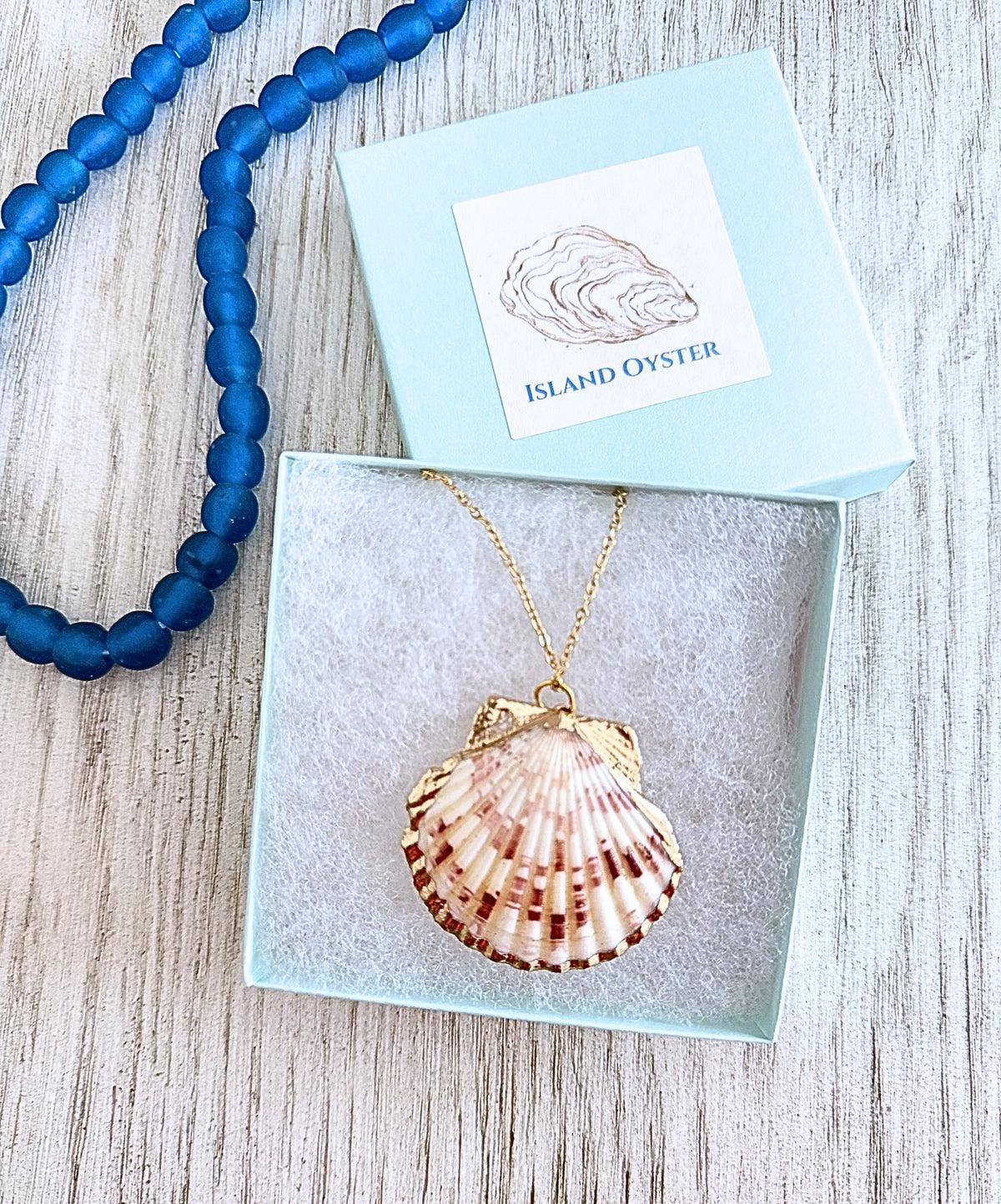 Seaside Scallop Necklace