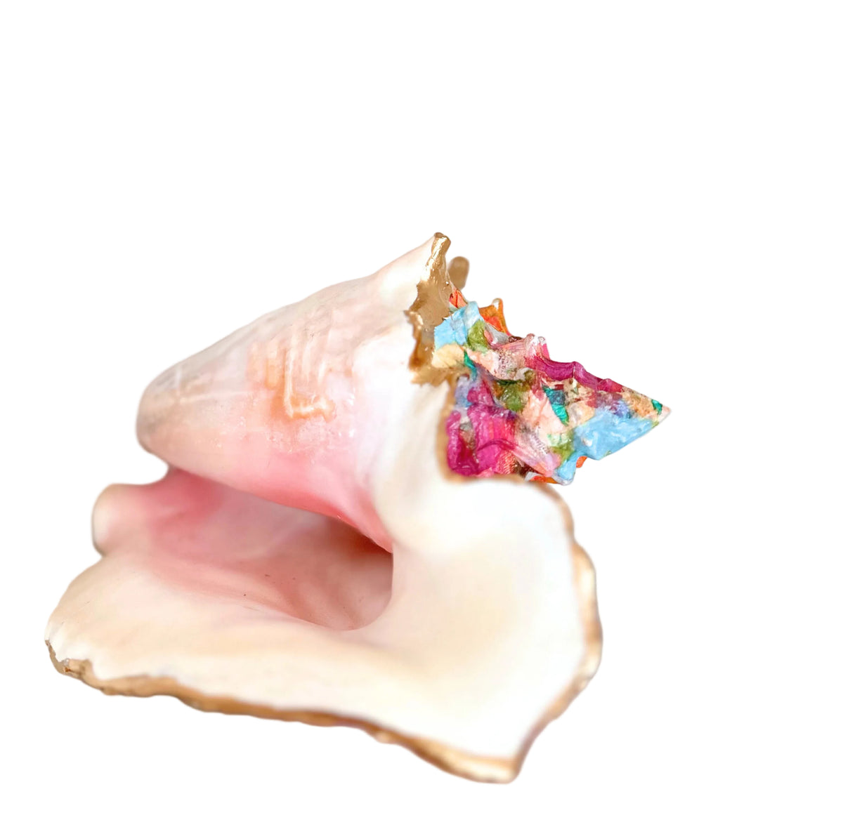 Between Tides | Conch