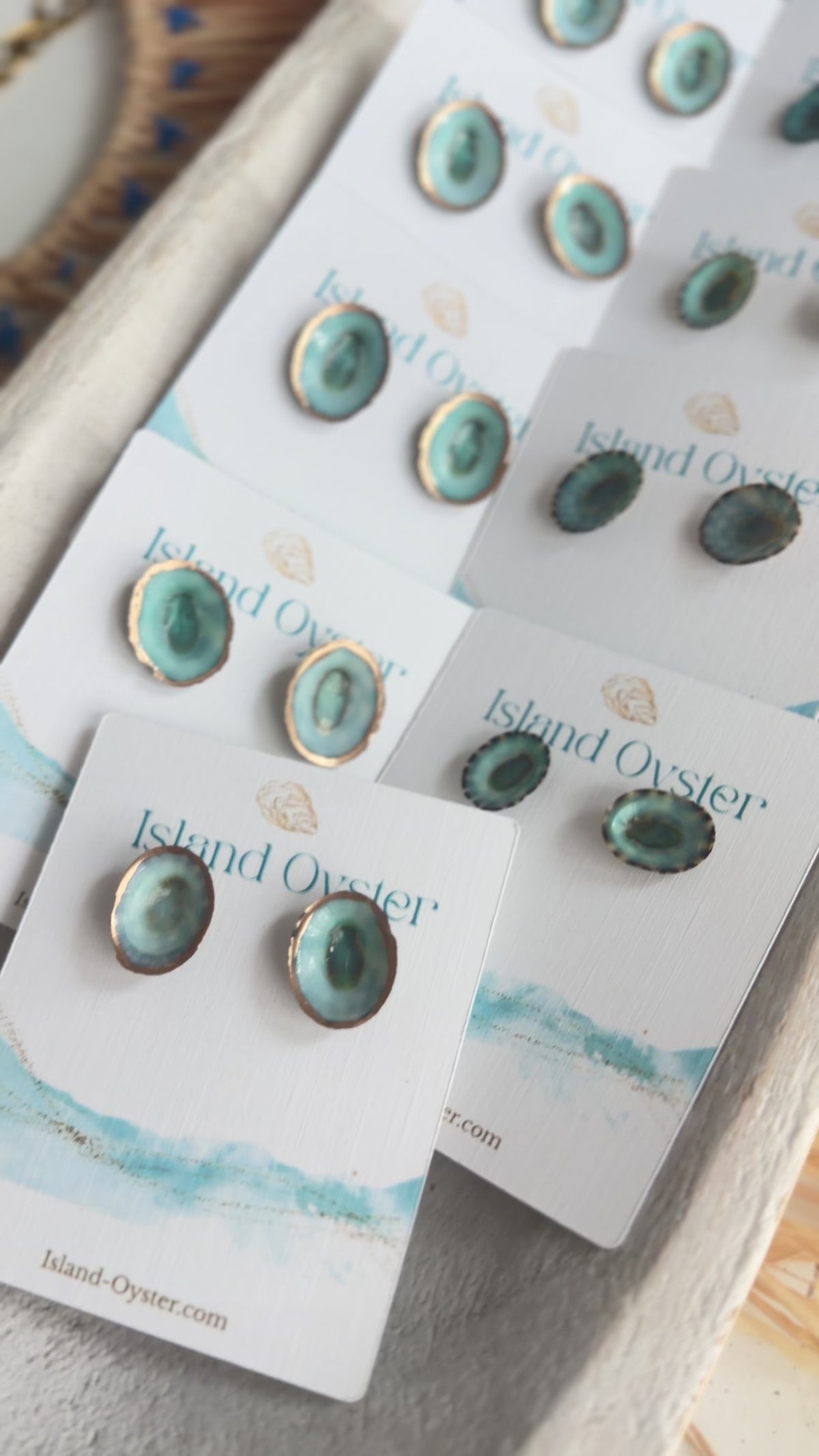 Gold Limpet Stud Earrings